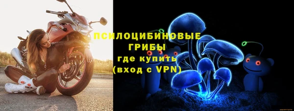 ГАЛЛЮЦИНОГЕННЫЕ ГРИБЫ Абинск