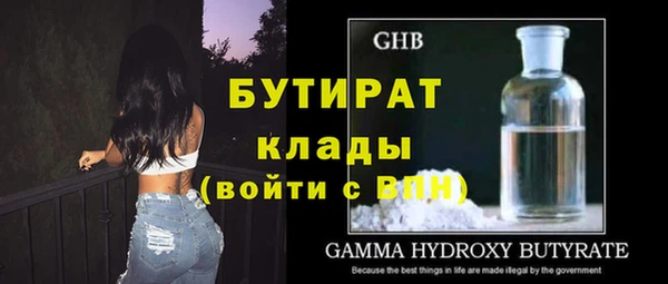 дурь Няндома