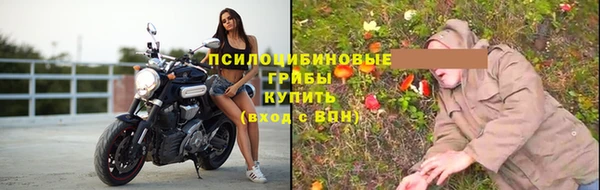 ГАЛЛЮЦИНОГЕННЫЕ ГРИБЫ Абинск
